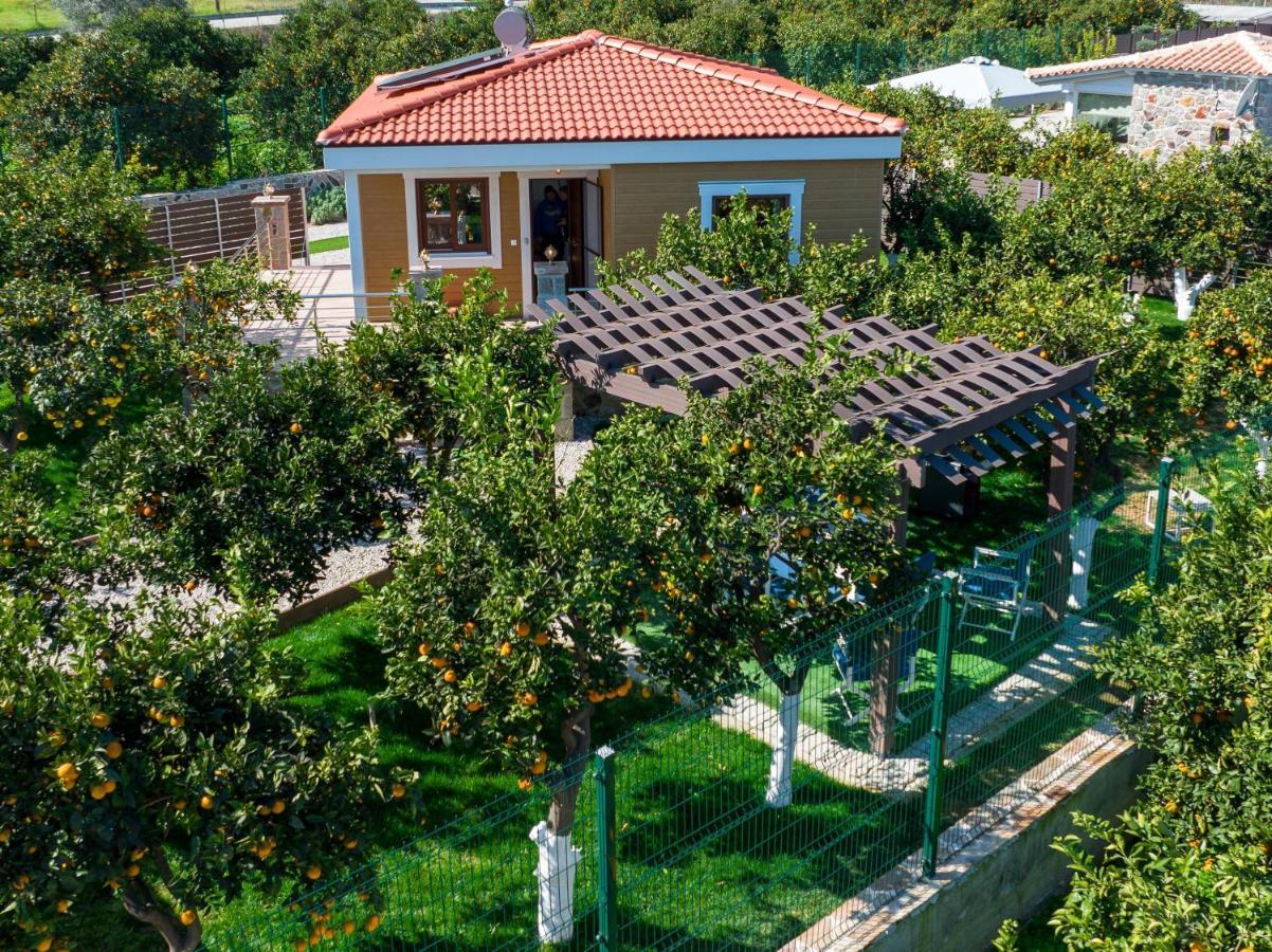 Desa Green Homes Epidaurus 外观 照片
