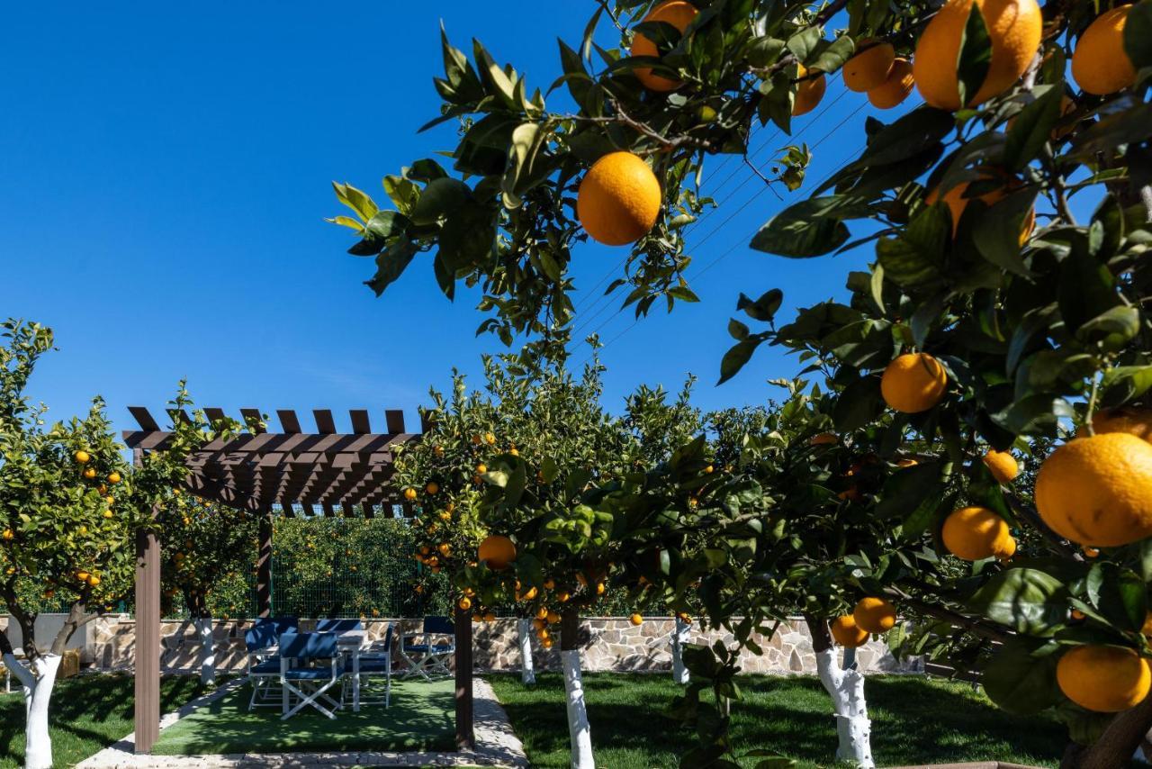 Desa Green Homes Epidaurus 外观 照片