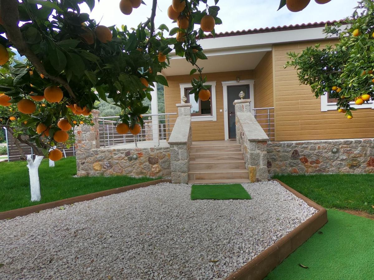 Desa Green Homes Epidaurus 外观 照片