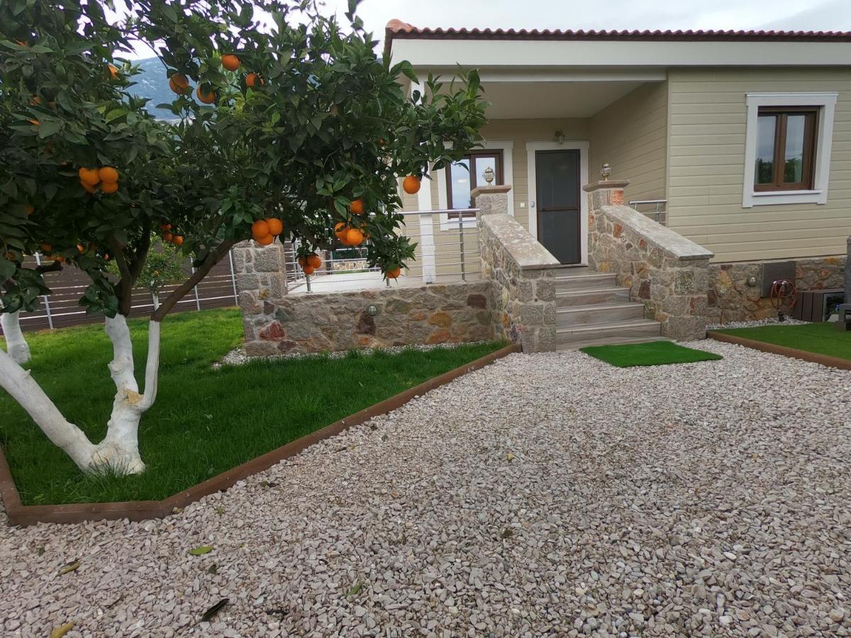 Desa Green Homes Epidaurus 外观 照片
