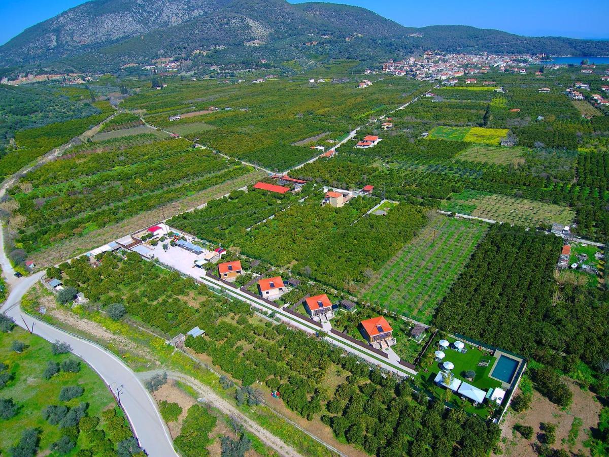 Desa Green Homes Epidaurus 外观 照片